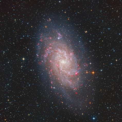 M33 The Triangulum Galaxy Bart Delsaert Astrophotography