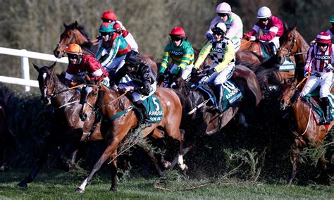 Tragedy At The Grand National As Horse Up For Review Dies In Horror