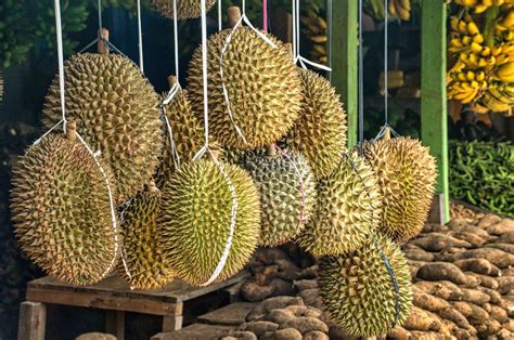 It S Durian Season Here Are The Types Of Durian You Can Find In Malaysia Kwiknews