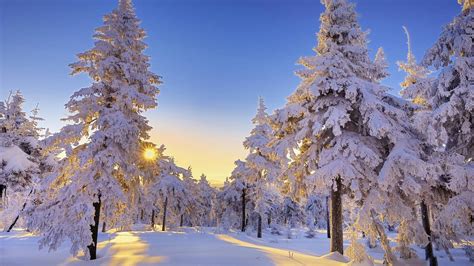Free Download Free Winter Sun Wallpapers 1920x1080 For Your Desktop