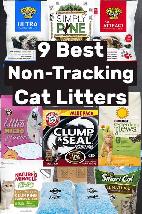 Because customers rave about its performance—including minimal tracking—and it has the qualities we look for in a good litter, we've chosen arm & hammer platinum. 9 Best Non-Tracking Cat Litters. Article by litter-boxes ...