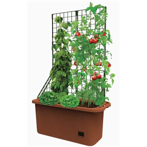Buy Self Watering Vegetable Planter Box With Trellis On Wheels Mobile Garden Online In India