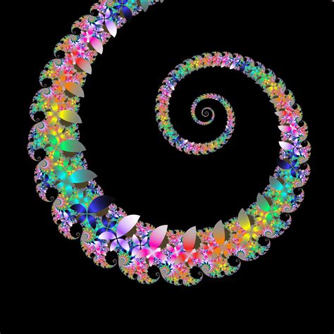 Flower Spiral Free Stock Photo Public Domain Pictures