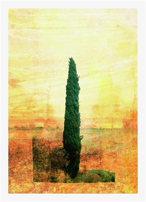 Lone Cypress Tree Digital Art By Mike Moran
