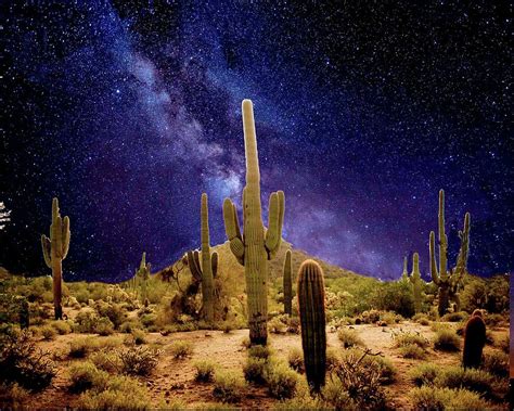 Cactus Desert Arizona Midnight Milky Way Galaxy Photograph By Peter Nowell