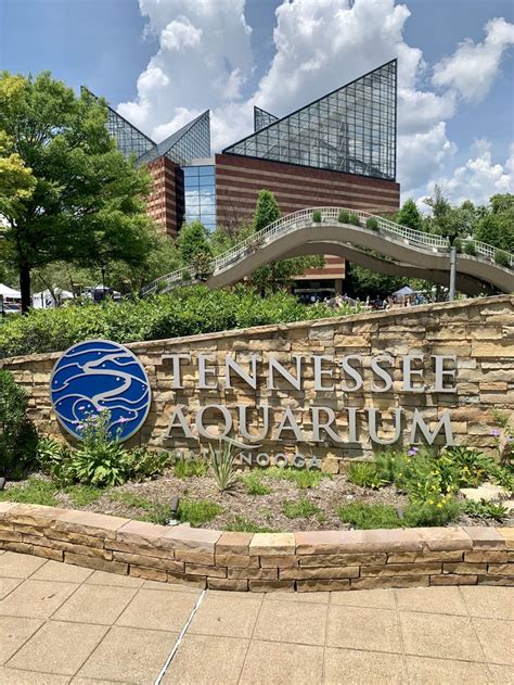 Tennessee Aquarium Tennessee Aquarium Aquarium Places