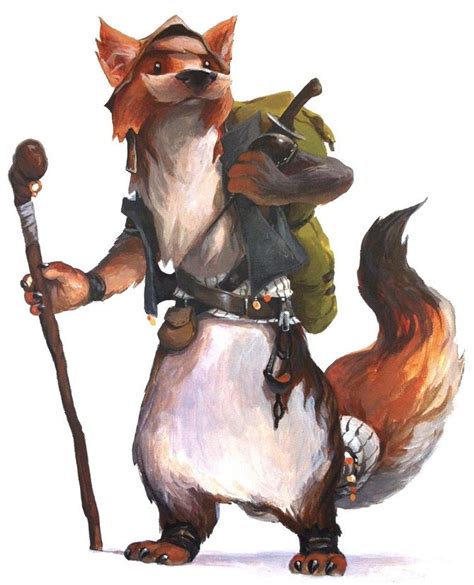 Dnd Fox Race Transborder Media