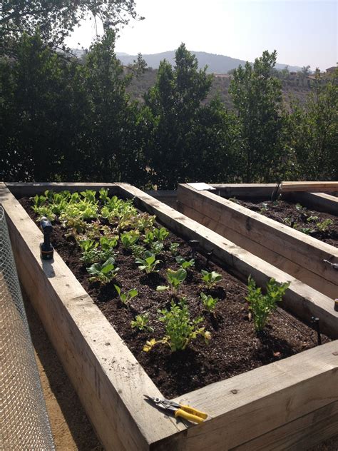 Pin by Joe Marx on Gardening | Railroad ties, Backyard garden, Raised