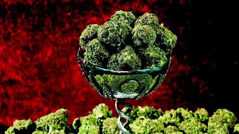 May 2012 Earths Strongest Strains High Times