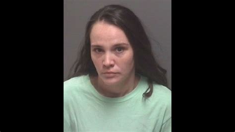 Hartselle Woman Charged With Using Meth While Pregnant