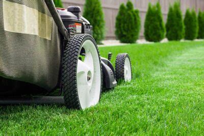 We can spruce up not only your lawn, but driveway, patios, and porches as well. Lawn Care Maintenance | Chesapeake, Virginia Beach ...