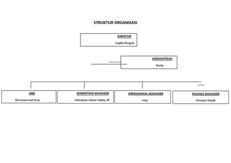 struktur organisasi pt abadi pdf