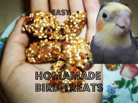 Homemade Treats For Your Bird Paco Parrots Blog