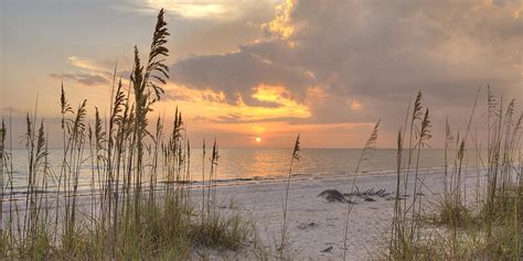 Beach Grass Sunset Photograph By Sean Allen Fine Art America