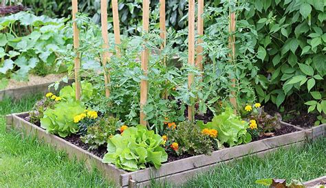 Stunning 40 Vegetable Gardening For Beginner Ideas