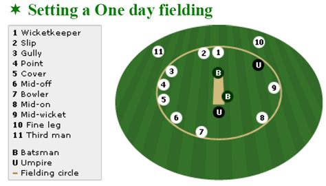 Cricket Tips And Tutorial How To Setting A One Day Fielding