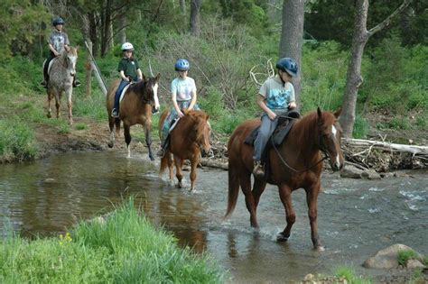 Royal Horseshoe Farm Trail Rides Horse Riding Lessons Parties