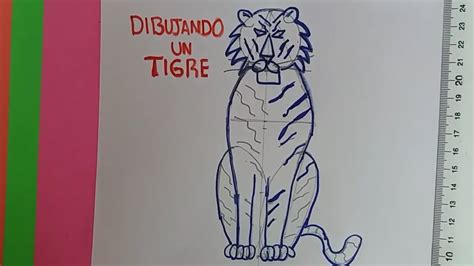 Como Dibujar Un Tigre How To Draw A Tiger Youtube