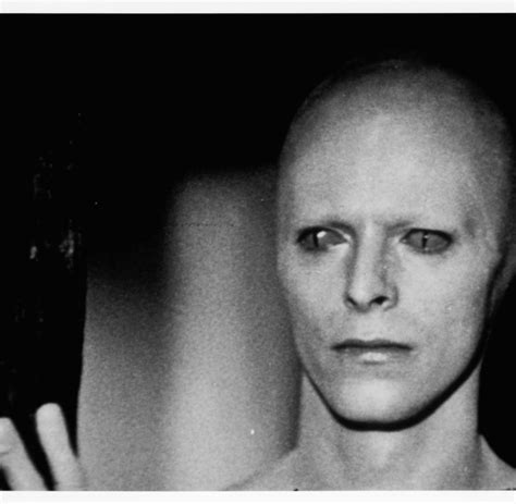 Männer und frauen normalerweise setzen harte arbeit inside verschönern hauptsächlich, weil , um in ein schönes. David Bowie und seine Augen: Die seltene Diagnose ...
