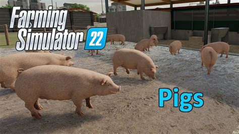 Farming Simulator 22 Tutorial Pigs Youtube