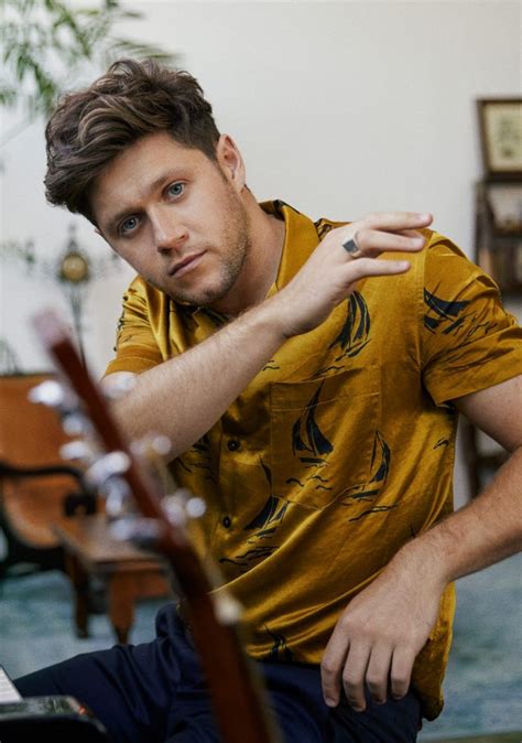 Niall Horan The Show Poster Print Album And Tour Posters