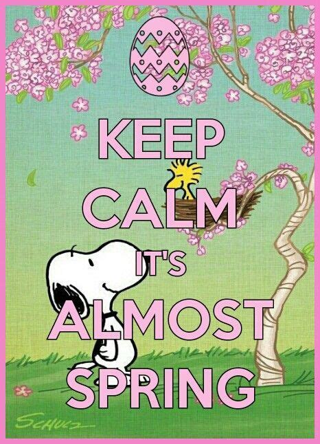 Keep Calm Its Almost Spring Pictures Photos And Images For Facebook