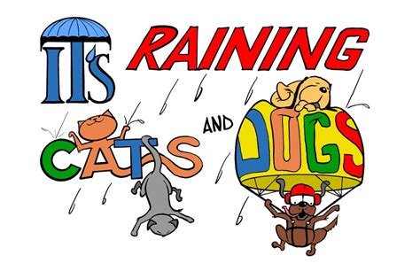 Its Raining Cats And Dogs Song For Young Singers By Donna Rhodenizer