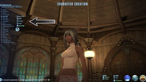 Ffxiv Nude Fill Online Printable Fillable Blank Pdffiller Hot Sex Picture