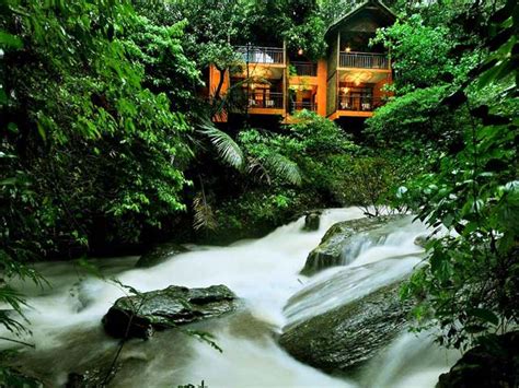 Top 5 Tree House Resorts In Kerala Kerala Backwaters Blog