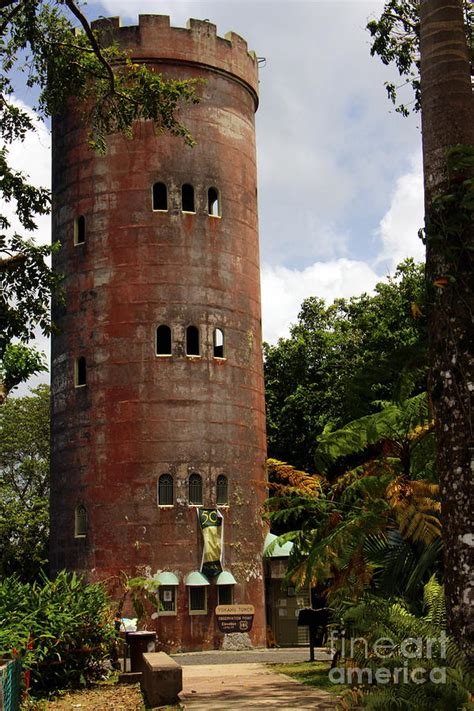 Yokahu Observation Tower El Yunque Rain Forest Puerto Rico Photograph