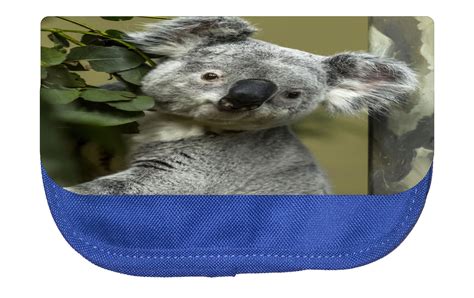 Koala Bear Animal Cosmetic Pouch