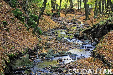 Csodautak Börzsöny Patak A Magyar Völgyben 2015