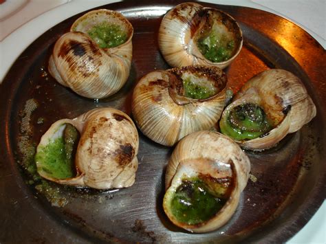 Filecooked Snails Wikimedia Commons