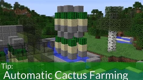 The concern is that the batteries can cause fire and the cartridges can leak in the unpressurized part of the plane where the checked bags are. Automatic Cactus Farming in Minecraft!! | Cactus farm ...