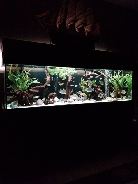 X Top Ten Freshwater Tanks All Time All Aquarium Fish Tank Fresh