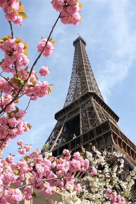 Eiffel Tower In Spring Time Paris France Stock Photo Image Of