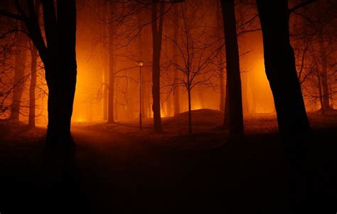 927227 4k Mist Nature Photography Lights Building Dark Night