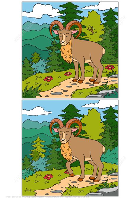 Find 12 Differences Between 2 Pictures Of Urial Wild Sheep