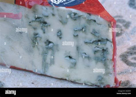 Fungus Cheese Mold Penicillium Roqueforti Blue Cheese Stock Photo