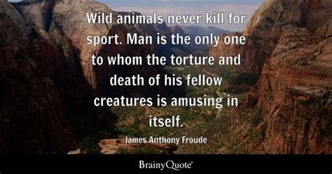 Quotes About Wild Animals