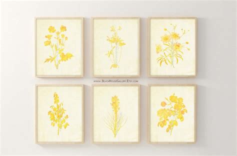 Yellow Botanical Prints Set Of 6 Prints Unframed Staging Etsy Canada