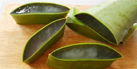 Conservez le gel d'aloe vera dans un verre ou un bol propre. Que faire avec votre aloe vera ? Recettes maison et bienfaits