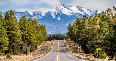 25 Best Things To Do In Flagstaff Arizona