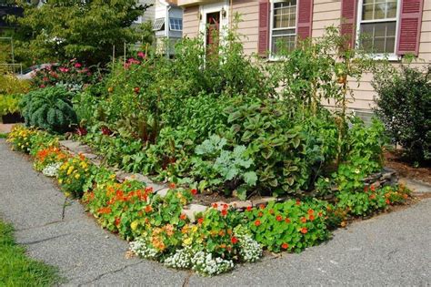 12 Exceptional Edible Front Yard Ideas Photos Front Yard