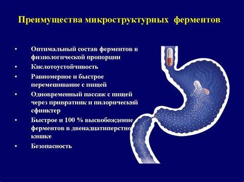 Хронический панкреатит ремиссия диета Хронический панкреатит | Кружок Эсмарха Хронический панкреатит | Кружок Эсмарха Хронический панкреатит ремиссия диета