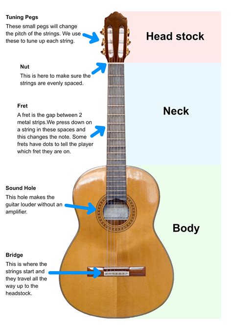 1 Guitar Anatomy