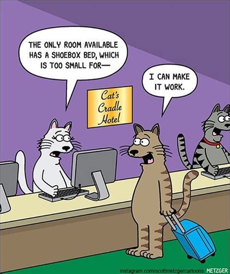 Fresh And Funny Cat Comics By The Brilliant Scott Metzger Cats Funny Cartoon Cat Jokes Crazy