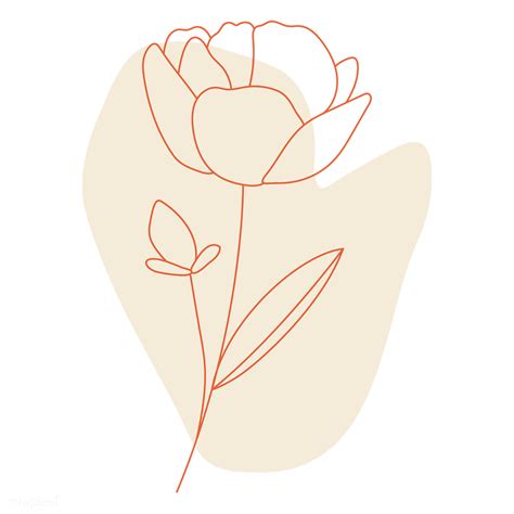 Poppies handdrawn flower line drawing svg & png (175277. Minimal rose png | Royalty free stock transparent png ...