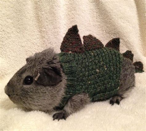 Readers' favorite free crochet sweater patterns. Free Knitting Pattern for Cavysaurus Rex Pet Costume ...