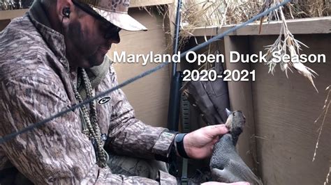 Opening Day Maryland Duck Hunting 2020 2021 Hunt 4 Youtube
